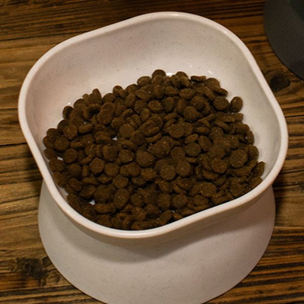 Husdjursskål lutande nackskydd hög kapacitet lätt att rengöra halkfri kattskål för hund katt, vit
