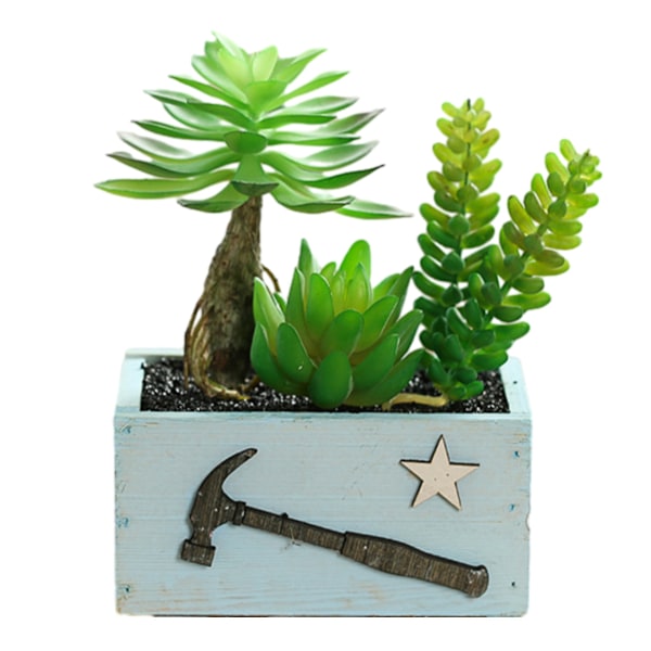 Trækurv simulering saftig kombination bonsai hjem