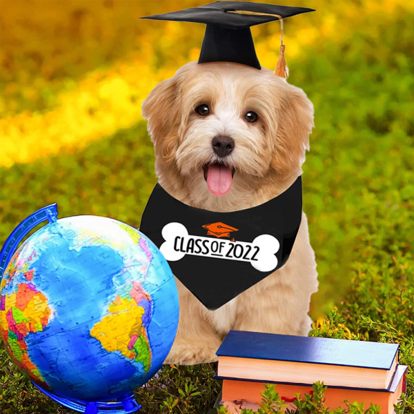 Dog Graduation Hats Dog Graduation Bandana Scarf Pet för