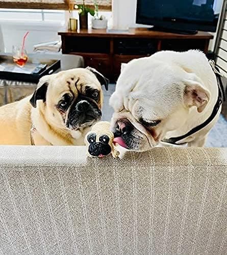 Squishy Hundelegetøjsgaver - Stress Squishies Mops Sensorisk Legetøj Langsom Ri