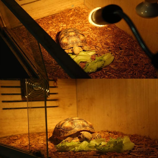 Varmelampe til krybdyr Skildpadde, klemmelampeholder med halogen B