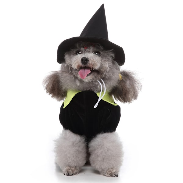 1 Stk Halloween Personligt Kostume til Dit Kæledyr Sort og Grøn