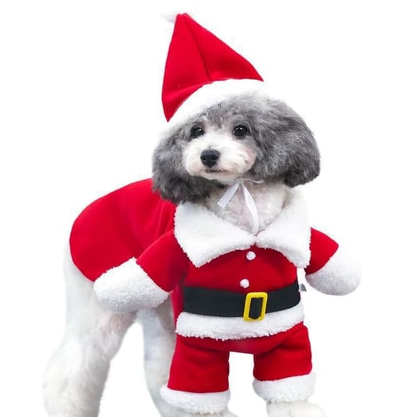 Julekostyme-onesie til kjæledyrhund med hatt