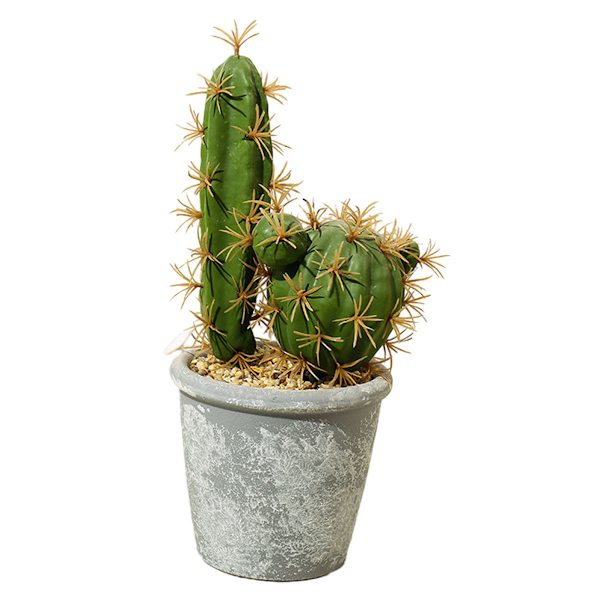 Tropiske planter potteplanter med potter kreative ornamenter