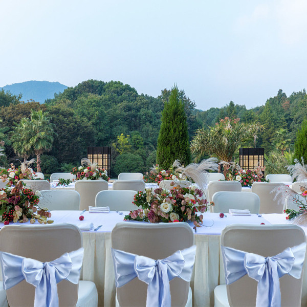 Set med 10 stolar dekorativa satinbågar rosett designad för bröllop