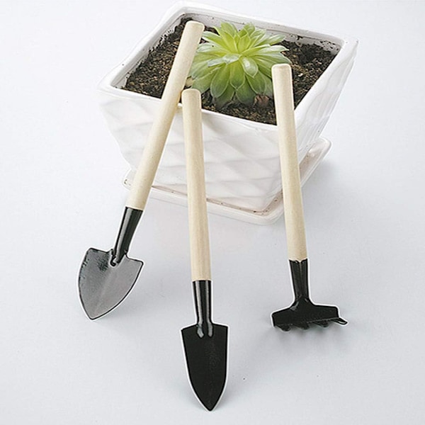 Trädgårdsredskapsset med järnhuvud, planteringsspade i massivt trä för alla åldrar, inklusive barns lärande i trädgårdsarbete hemma, krukväxter, plantor