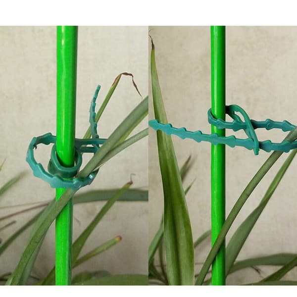100 stk. Stake Holders - 17 cm til Tomater Træer Kabelbinder Genanvendelig