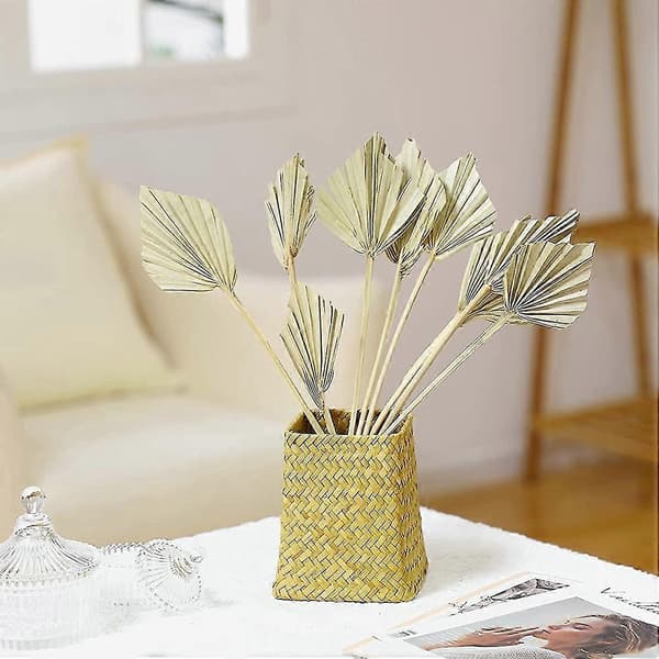 10 stk. Boho Tørrede Palmeflader Naturlige Tørrede Palmeblade Tørrede Palmefladeblade Palmeflade Le