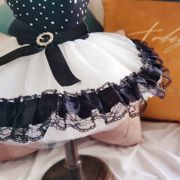 Hund Prinsessklänningar Valp Klänning Husdjur Tutu Klänningar Valp Hund Prin