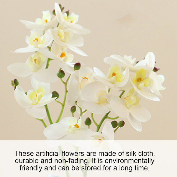 3D-trykt film dobbel gaffel phalaenopsis bonsai hjem