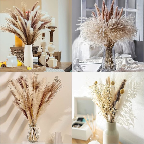 Naturliga torkade blommor för bröllopsdekoration, Pampasgräs Boho heminredning med fluffig och mjuk dun i bondgårdsstil, 80 stycken