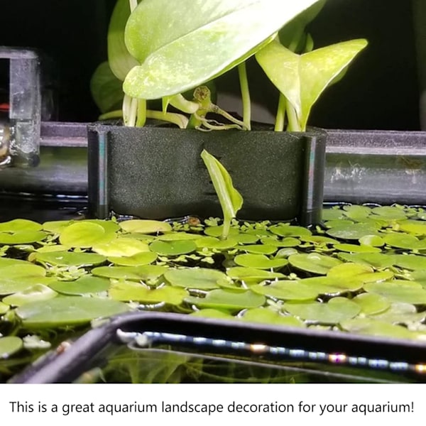 Aquatic Oasis: Akvarieväxthållare, Hängande Växthållare För Nitratreduktion Och Intern Cirkulation I Sötvattens- Och Saltvattensakvarier, Stabil