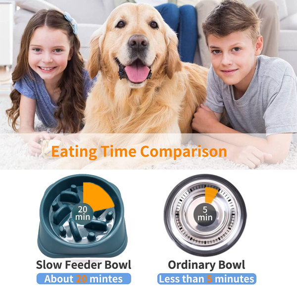 Dog Slow Feeder Bowl, - Anti-Gulping Pet Slower Food Feeding