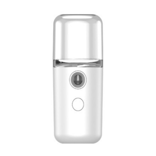 Nano Facial Mist Sprayer Pocket Size USB Charging Water Face Humidifier for Hydration,White