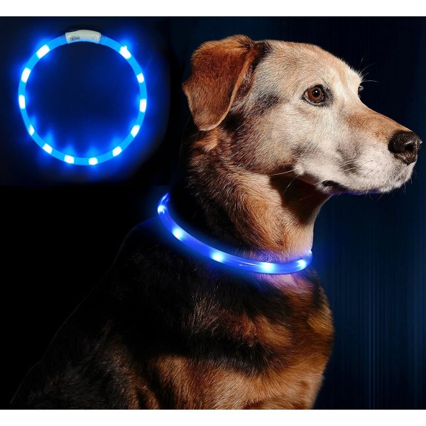 Light Up Hundhalsband Uppladdningsbart LED-halsband för små hundar
