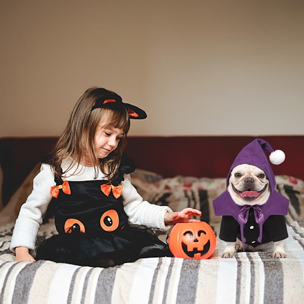 Halloween-kostyme for liten/middels stor hund/katt