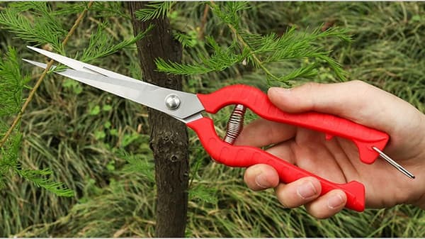 Puutarhasakset, erikoispitkä terä 245 mm, puutarhan leikkaussakset Sta