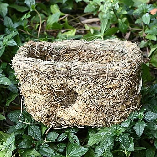 Gresstunneler for hamstergjemmesteder, hamstertunneler, natur
