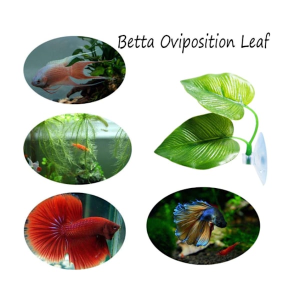 2 stk. Fiskeløvmatte - Forbedrer Bettas helse ved å simulere det naturlige habitatet (Dobbelt blad design, en stor og en liten)
