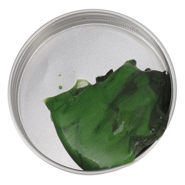 Magnetisk Putty Hög Stretch Säker Harts Magnetisk Studsande Lera Stress Relief Leksaker med Magnet Grön