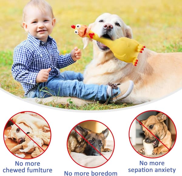 Interaktivt Hundelegetøj, Pivelegetøj, Hundetilbehørsspil, C
