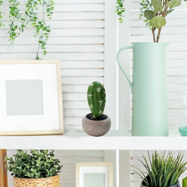 Simulert plante potteplante simulert blomst kaktus bonsai