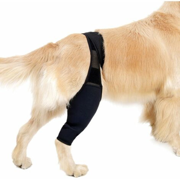 Forbenet/Bagben Støttebandage til Hunde - Genoptræning efter Forstuvning, Smertelindring, XS