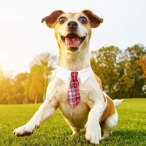 Kæledyrsslips Hundeslips Justerbart Kostume Hundehalsbånd Slips Festtilbehør Julekostume S