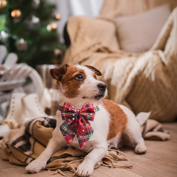 Julehalsbånd til hund, for valper, hunder, katter og kjæledyr