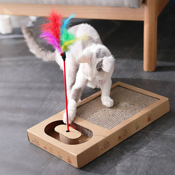 Katt Repbräda Kartong Katt Repkort Hög Kvalitet Repkort Textur Design Hållbar Katt Repkort