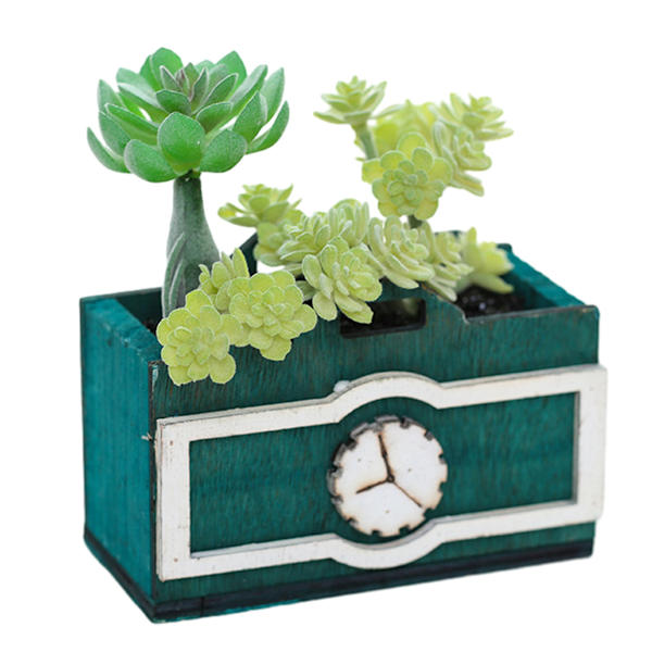 Konstgjorda suckulenter, bonsai, kreativa prydnader, konstgjorda