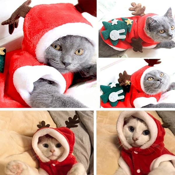 Juldräkt för hund och katt M