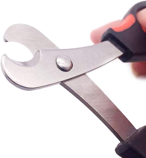 Profesjonell neglesaks Trimming Saks er egnet for sma