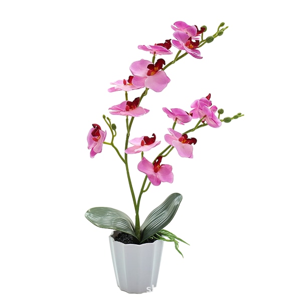 Falsk blomma phalaenopsis bonsai skrivbord liten dekoration växt