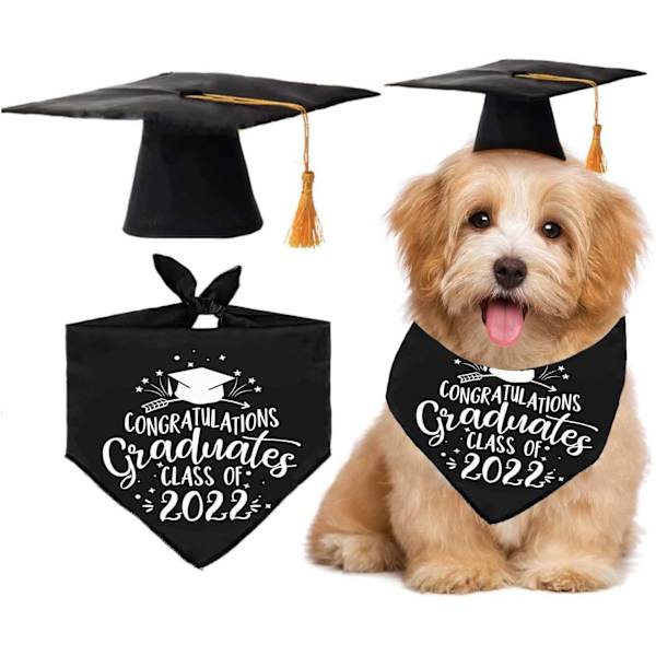 Hatt til Hundeeksamen