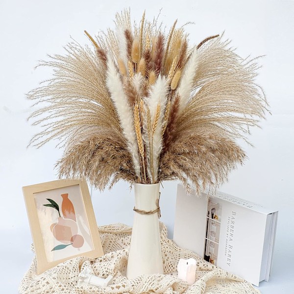 Naturliga torkade blommor för bröllopsdekoration, Pampasgräs Boho heminredning med fluffig och mjuk dun i bondgårdsstil, 80 stycken