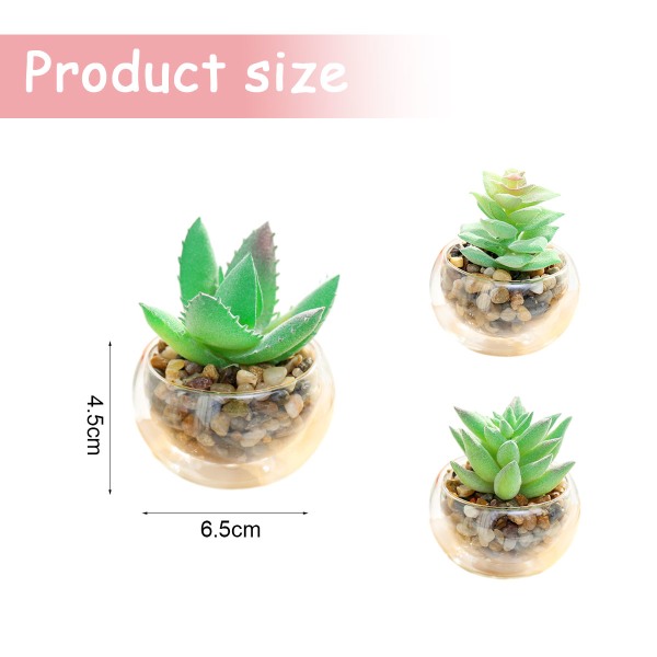 3st små runda glasbassängsimuleringssuckulenter i krukväxter