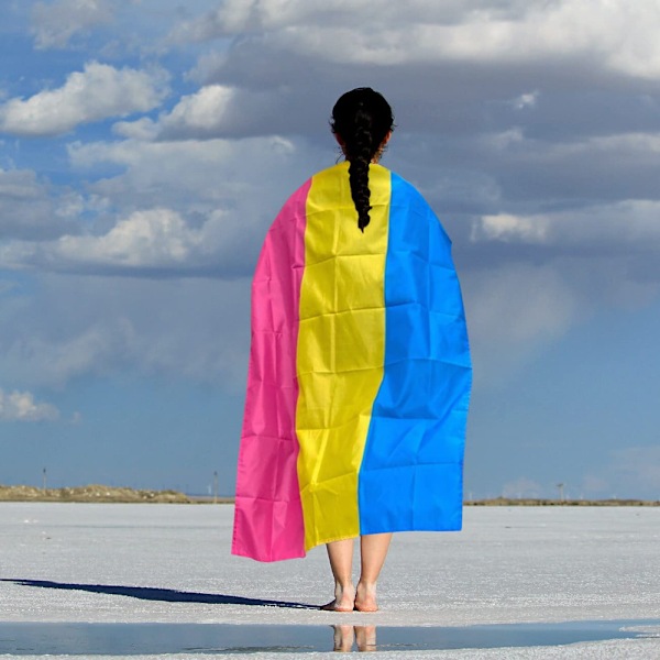 Pansexuell Flagga, Hållbar Konstruktion för Utomhusbruk, Metallöljetter Polyestermaterial För Varaktiga Visningar