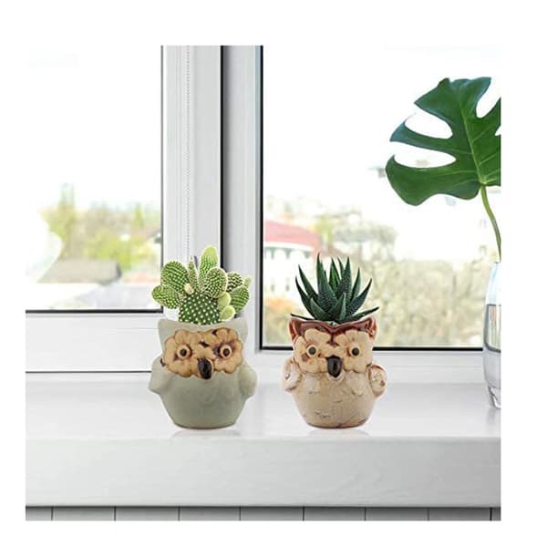 6 stycken suckulenta växtkrukor mini uggla keramisk blomkruka