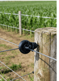 6 isolatorer til elektroniske hegn til husdyrbrug - sort black