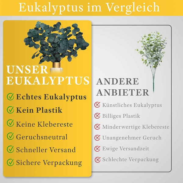Torkade Blommor Kollektion, Helande Eukalyptusdoft Färska Eukalyptusblad För Aromaterapi, Silverdollarblad Som Idealisk Julklapp, Konserverade