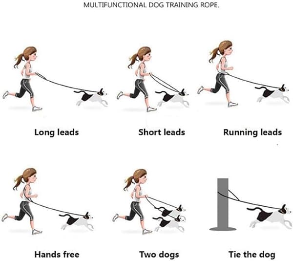 Multifunktionellt Koppellina för Hund 250cm*1.2cm med Justerbar Dubbel