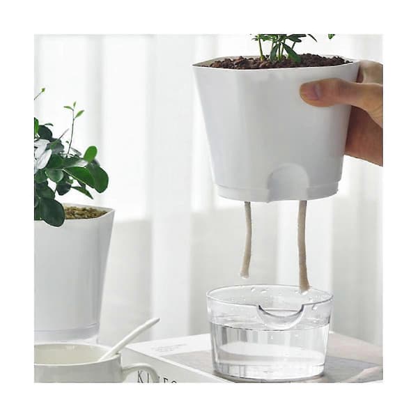Hydroponisk Automatisk Absorberende Sukkulent Blomsterpotte -ende Blomsterpotte Hydroponisk