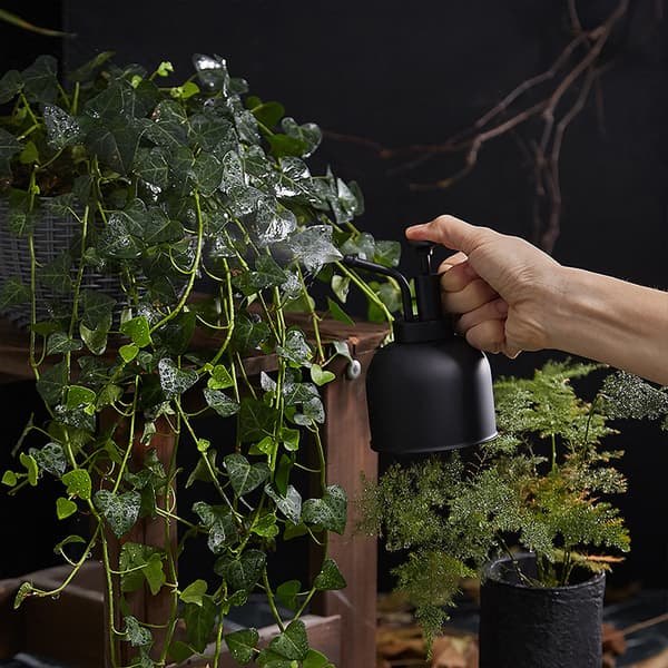 Sprayflaske Vandkande i rustfrit stål til indendørs planter Bonsai