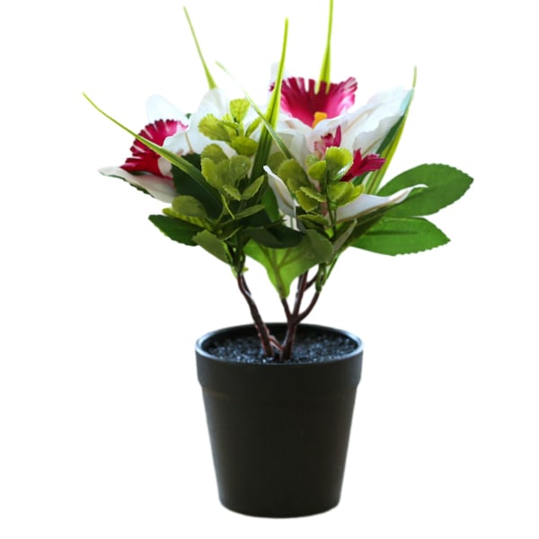 Tekokukka kolmipäinen cymbidium pieni bonsai luova