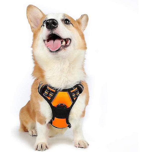 Hundsele No Pull Hundsele Justerbar Mjukt Vadderad Hundväst Hundselar 1