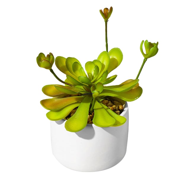 Konstgjorda växter, stora cylindriska keramiska blomkrukor,