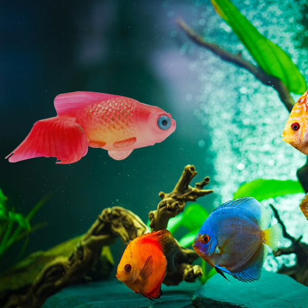 Silikonfisk Dekoration för Akvarium - Hög Simulering