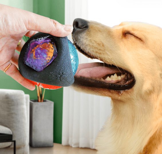 Hund Glitrende Gummi Ben, Hundelegetøj Tresidet Sort Bold - Lumi