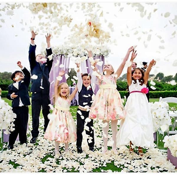100 stk./sæt Silkeblade Kunstige Blomsterblade Til Bryllupsfest Hjem Hotel Valentinsdag Dekoration